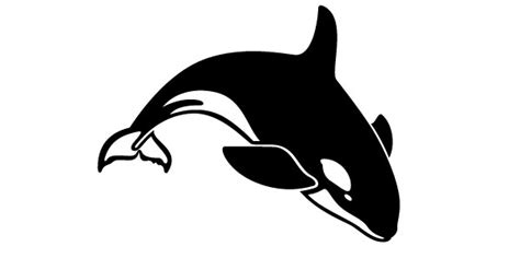 Orca Whale Outline - ClipArt Best