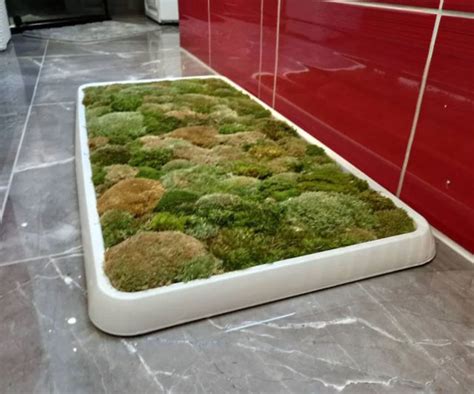 Live Moss Bath Mat