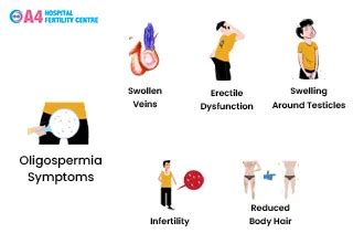 Oligospermia Symptoms Causes And Treatment | A4 Fertility