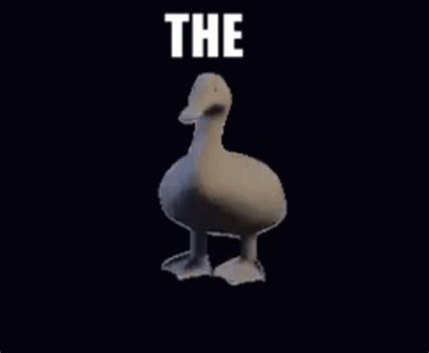 Duck Rotate GIF — Duck Rotate Meme — აღმოაჩინეთ და გააზიარეთ GIF-ები