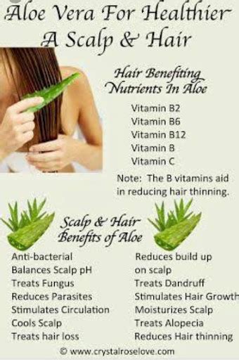 BENEFITS OF ALOE VERA