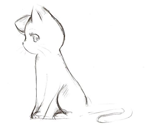 Anime cat - Google Search | Cat sketch, Cat drawing, Anime drawings