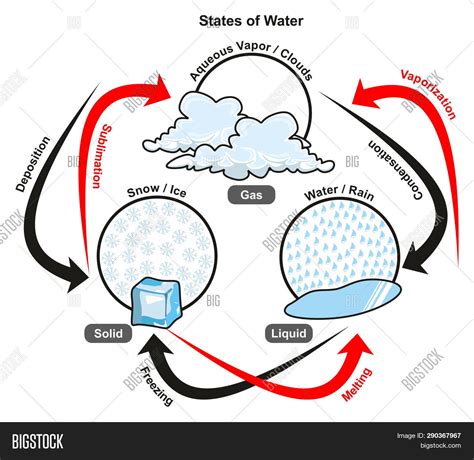 Sublimation Diagram Water Cycle