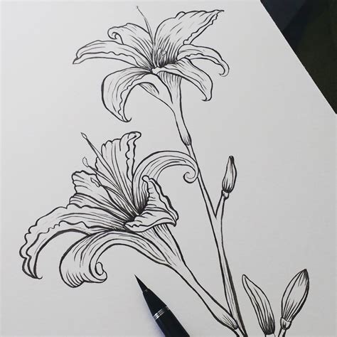 Pen And Ink Watercolor Flowers at PaintingValley.com | Explore ...