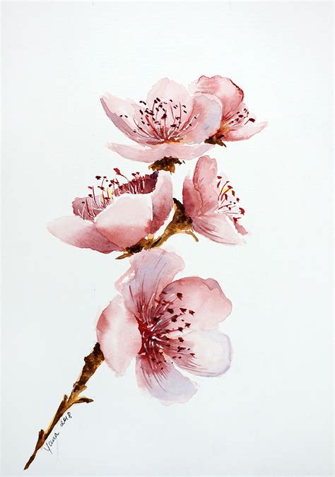 Watercolor Course: Cherry Blossom step by step | Cherry blossom ...