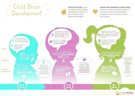 Brain Development Milestones And Learning | ubicaciondepersonas.cdmx.gob.mx