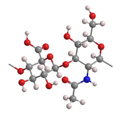 Hyaluronic acid - American Chemical Society