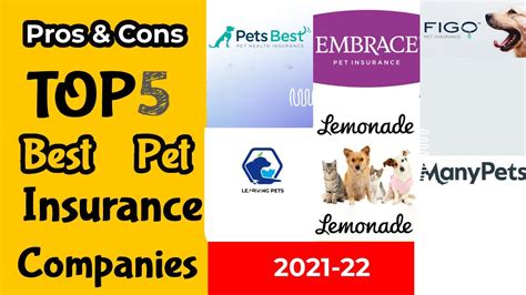 Top 5 Best Pet Insurance Companies Pros & Cons Reviews In 2021&22 - YouTube