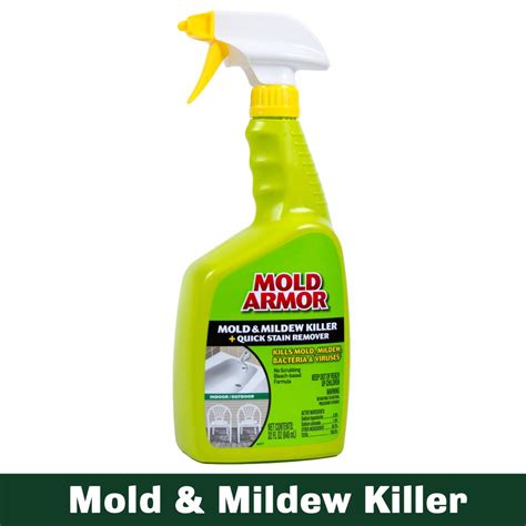 Mold Inspection And Remediation - Citard