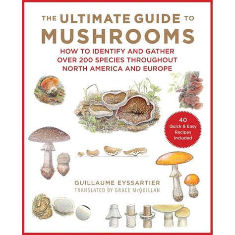 The Ultimate Guide to Mushrooms : How to Identify and Gather Over 200 ...