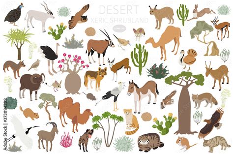 Desert biome, xeric shrubland biome, natural region infographic ...