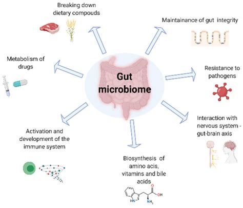 Custom Probiotics Blog