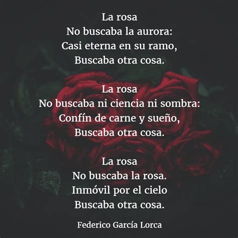 Los mejores poemas de FEDERICO GARCÍA LORCA 【Versos】