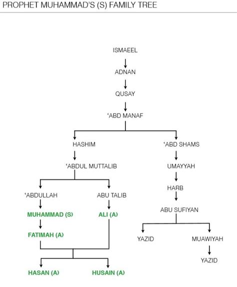 PROPHET MUHAMMAD'S (S) FAMILY TREE Diagram | Quizlet