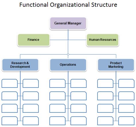 organizational structures in business