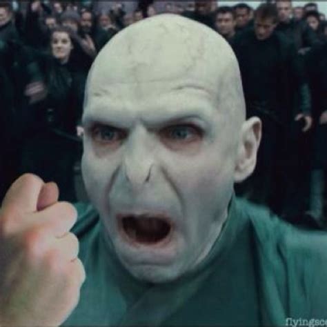 Ahhh Voldemort.... | Harry potter funny, Harry potter memes, Harry potter