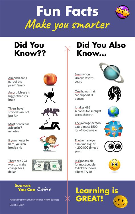 Xooloo - Fun Facts Help Keep Your Brain Connecting!