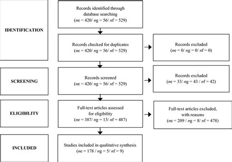 PRISMA flow chart. ne = n English-language articles; ng = n ...