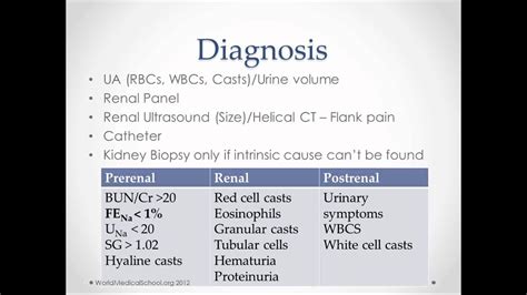 Acute Renal Failure - USMLE Step 2 Review - YouTube