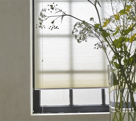 Pleated Blinds