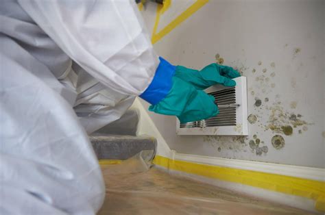 Certified Mold Remediation and Removal Company | Remediation Solutions