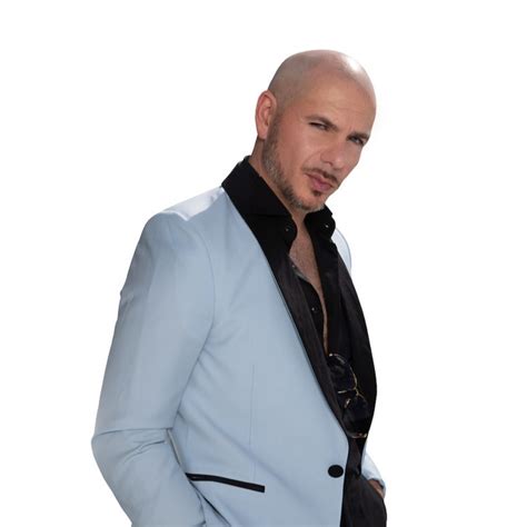 Pitbull: genres, songs, analysis and similar artists - Chosic