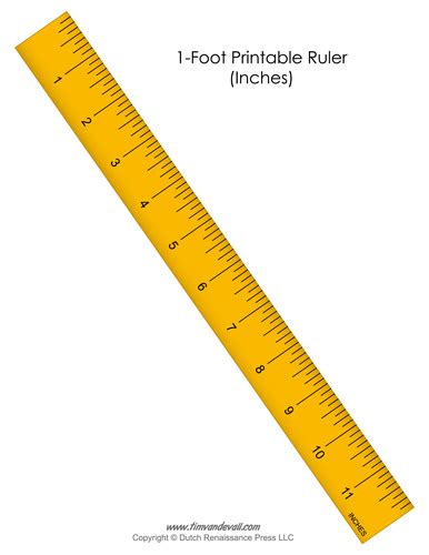 Printable 1-Foot Ruler for Math and Science Class - Tim's Printables