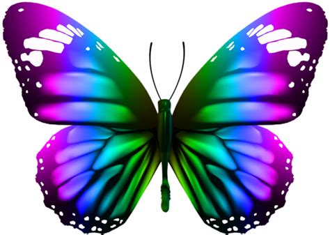 Transparent Butterfly Clipart