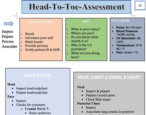 Head To Toe Assessment Outline | Images and Photos finder