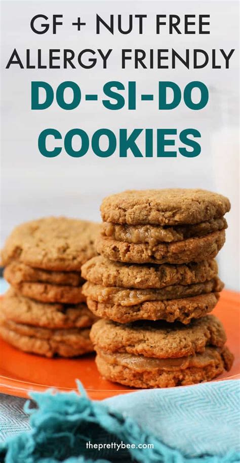 Nut Free Do Si Do Cookies (Gluten Free, Vegan). - The Pretty Bee