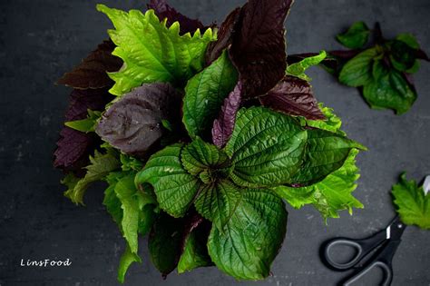 Japanese Shiso Leaves (Perilla Leaves)