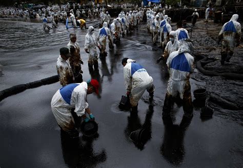 What would the impact of an oil spill in Burrard Inlet be? - Sacred Trust