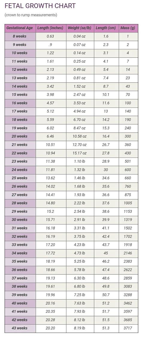 Fetal growth chart (8 -43 weeks) | PREGNANT && NEWBORN!♡ | Pinterest ...