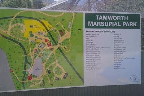 Explore Tamworth Marsupial Park, Tamworth, NSW