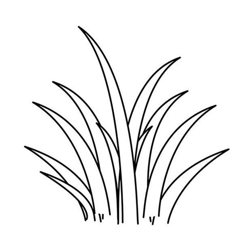 Plants World Grass Coloring Pages : Color Luna | Grass drawing, Grass ...