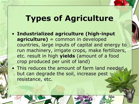 PPT - Agriculture and Pesticides PowerPoint Presentation, free download ...