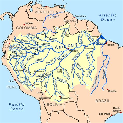 Where Is The Amazon Basin On A Map - Fina Orelle