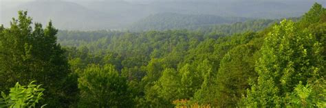 The best available hotels & places to stay near Lewisburg, TN