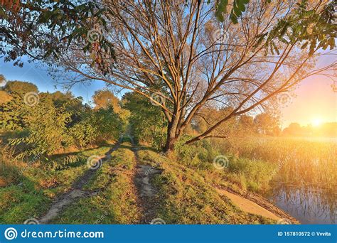 Early Morning, Sunrise Over the Lake Stock Photo - Image of green ...