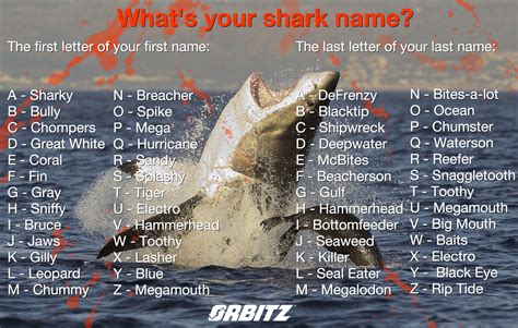 Quiz: What's your shark name? | HuffPost Life