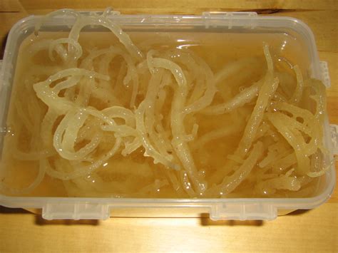 Anything handmade....: Health Tips 1 - Seaweed Jelly (Good collagen source)