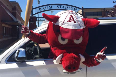 #RibbysRoadtrip: First Mascot to Omaha | Arkansas Razorbacks