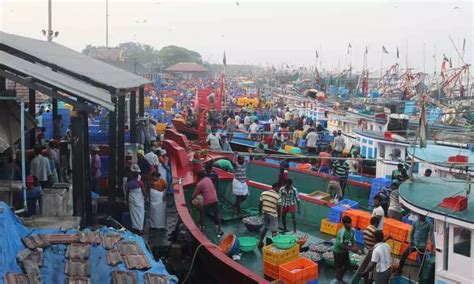 Bandar Fishing Harbour to be developed soon, govt directs officials to ...