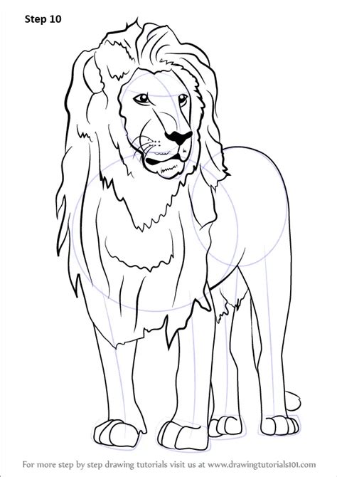 Step by Step How to Draw an Asian Lion : DrawingTutorials101.com