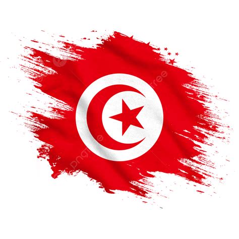 Tunisia Watercolor Brush Flag, Flag, World Cup 2022, Tunisia Flag PNG ...