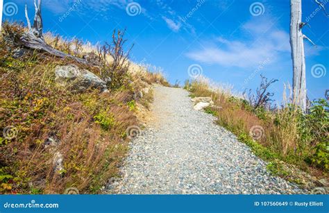 Hiking path Gaspe Quebec stock image. Image of hiking - 107560649