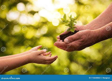 1,511 Child Giving Plant Stock Photos - Free & Royalty-Free Stock ...