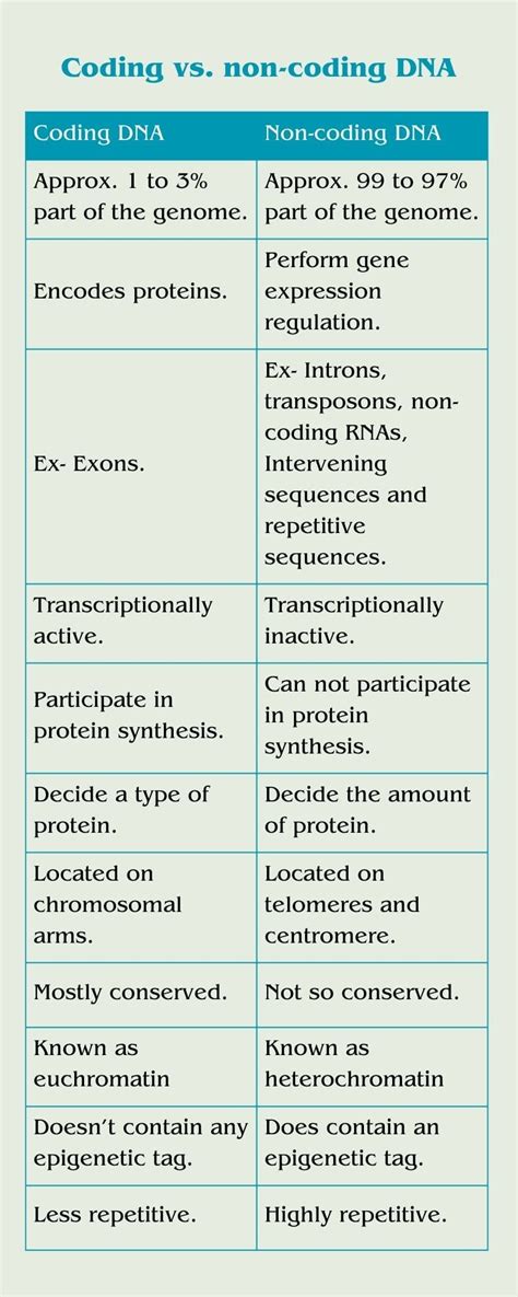 Comparison Between Coding vs Non-coding DNA – Genetic Education