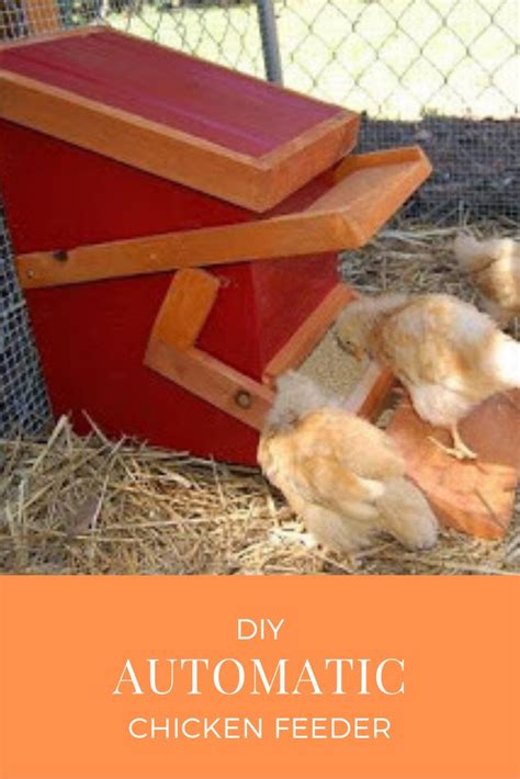 Build a rain- and rodent-proof automatic chicken feeder. | Automatic ...