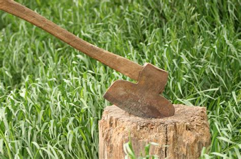 What Is A Broad Axe And How Is It Used? - Axe Adviser